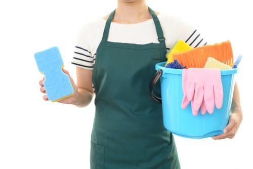 Professional Wimbledon cleaners introducing the company and its cleaning values
