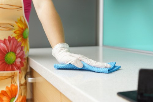 Professional cleaners working in a Wimbledon home