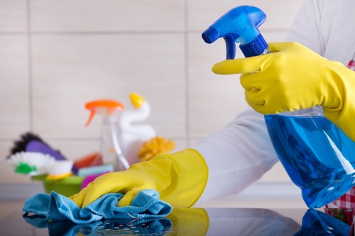 Professional carpet cleaner service in a Wimbledon home