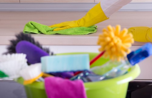 Professional carpet cleaning in a Wimbledon home