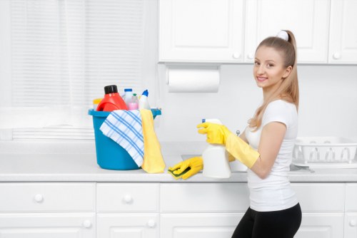 Cleaner checking safety equipment before a cleaning task