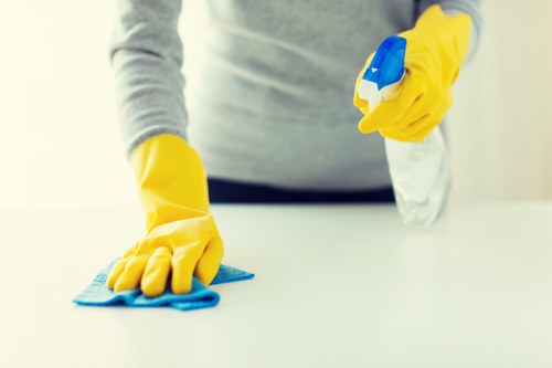Reliable cleaner in Wimbledon delivering spotless results