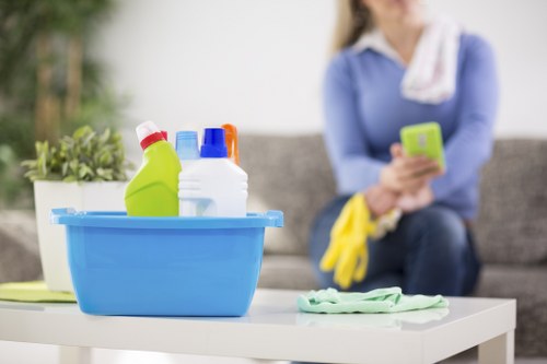 Stain removal and deep carpet cleaning process in Wimbledon